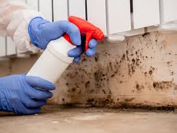 Best Basement Mold Removal  in Armonk, NY